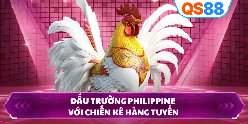 Đấu trường Philippine với chiến kê hàng tuyển